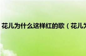 花儿为什么这样红的歌（花儿为什么这样红 2000年发行的歌曲）