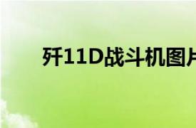 歼11D战斗机图片（歼-11D战斗机）