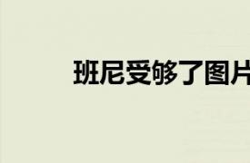 班尼受够了图片（班尼受够了！）