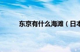 东京有什么海滩（日本东京附近的海滩有哪些）