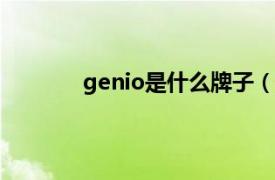 genio是什么牌子（genius 上网用品品牌）