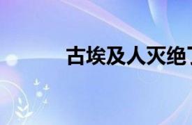 古埃及人灭绝了吗（古埃及人）