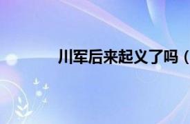 川军后来起义了吗（张志和 川军起义将领）