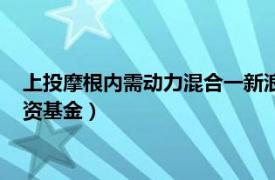 上投摩根内需动力混合一新浪（上投摩根内需动力混合型证券投资基金）