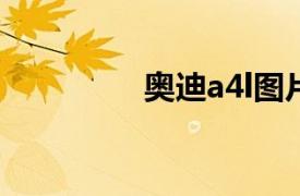 奥迪a4l图片（奥迪A4L）