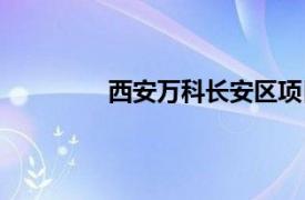 西安万科长安区项目（西安长安万科城）