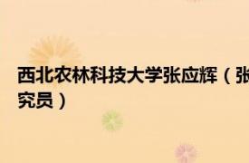 西北农林科技大学张应辉（张红艳 陕西省生物农业研究所助理研究员）