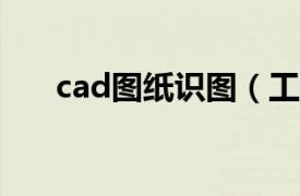 cad图纸识图（工程制图CAD与识图）