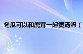 冬瓜可以和鹿茸一起煲汤吗（鹿茸和冬瓜可以一起煮骨头汤吗）