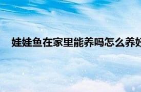 娃娃鱼在家里能养吗怎么养好（娃娃鱼在家里能养吗怎么养）