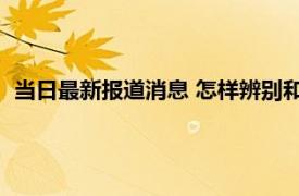 当日最新报道消息 怎样辨别和田玉是真是假 从三个方面来分辨