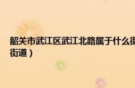 韶关市武江区武江北路属于什么街道（新华街道 广东省韶关市武江区下辖街道）