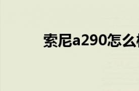 索尼a290怎么样（索尼A290Y）