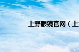 上野眼镜官网（上海野尻眼镜有限公司）