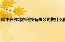 网络在线北京科技有限公司做什么的（北京啥都有网络信息科技有限公司）