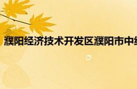 濮阳经济技术开发区濮阳市中级人民法院综合审判庭庭长崔心心