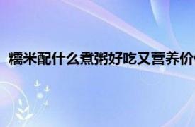 糯米配什么煮粥好吃又营养价值（糯米配什么煮粥好吃又营养）