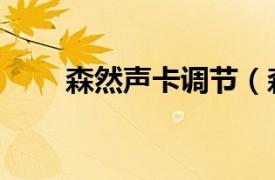 森然声卡调节（森然声卡怎么调试）