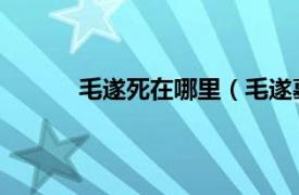 毛遂死在哪里（毛遂墓在哪里 毛遂葬在哪里）