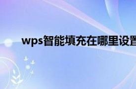 wps智能填充在哪里设置（wps智能填充怎么使用）