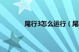 尾行3怎么运行（尾行3攻略 怎么玩尾行3）