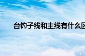 台钓子线和主线有什么区别（台钓主线用什么线好）