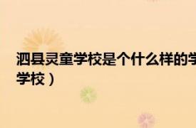 泗县灵童学校是个什么样的学校啊（泗县灵童学校是个什么样的学校）