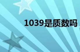 1039是质数吗（1013是质数吗）