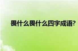 畏什么畏什么四字成语?（四字成语什么什么什么畏）