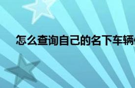 怎么查询自己的名下车辆信息（怎么查名下车辆信息）