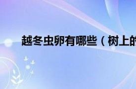 越冬虫卵有哪些（树上的昆虫用什么方法产卵越冬）