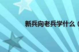 新兵向老兵学什么（新兵跟学兵什么意思）