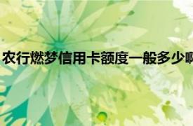 农行燃梦信用卡额度一般多少啊（农行燃梦信用卡额度一般多少）