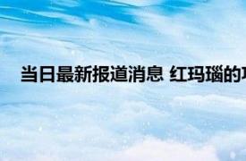 当日最新报道消息 红玛瑙的功效与作用 原本有这么多的好处