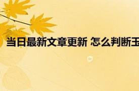 当日最新文章更新 怎么判断玉已经戴活了 可以从三个方面判断