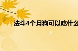 法斗4个月狗可以吃什么（四个月法斗吃什么狗粮）