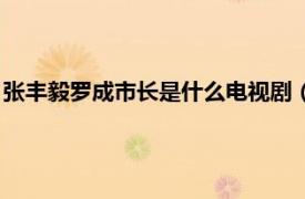 张丰毅罗成市长是什么电视剧（张丰毅演的罗市长是什么电视剧）