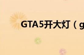 GTA5开大灯（gta5灯怎么开大灯）