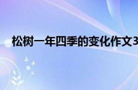 松树一年四季的变化作文350字（松树一年四季的变化）