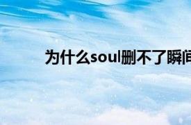 为什么soul删不了瞬间（为什么soul删不了瞬）