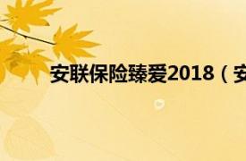 安联保险臻爱2018（安联臻爱无限2020保什么）