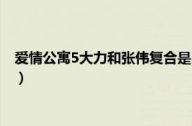 爱情公寓5大力和张伟复合是哪一集（爱情公寓5张伟大力大结局）