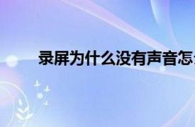 录屏为什么没有声音怎么设置（录屏怎么没声音）