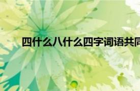 四什么八什么四字词语共同点（四什么八什么四字词语）