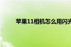 苹果11相机怎么用闪光灯（苹果11相机怎么用）