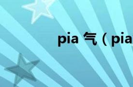 pia 气（pia气是什么意思）