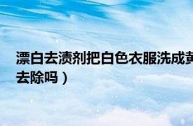 漂白去渍剂把白色衣服洗成黄的了（白衣服的污渍可以用漂白剂去除吗）