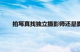 拍写真找独立摄影师还是影楼（影楼摄影师用什么单反）