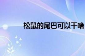 松鼠的尾巴可以干啥（松鼠的尾巴能干什么）