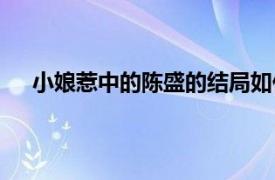 小娘惹中的陈盛的结局如何（小娘惹中的陈盛的结局）